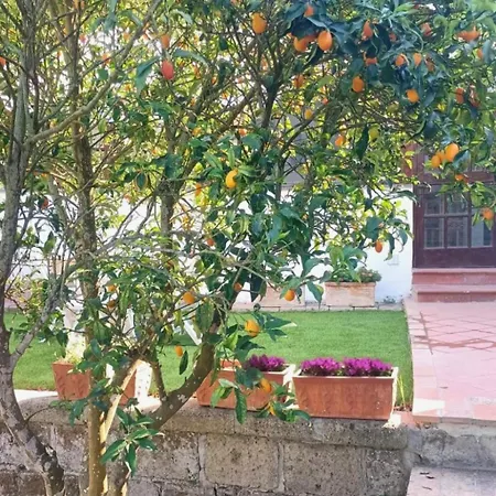 Le Miro Apartmán Sorrento