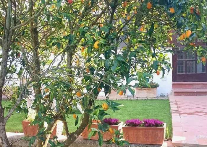 Le Miro Lejlighed Sorrento